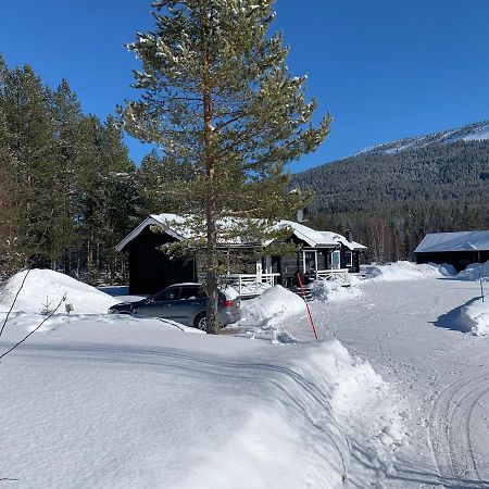 Nymon Mountain Lodge Stöten Exteriér fotografie