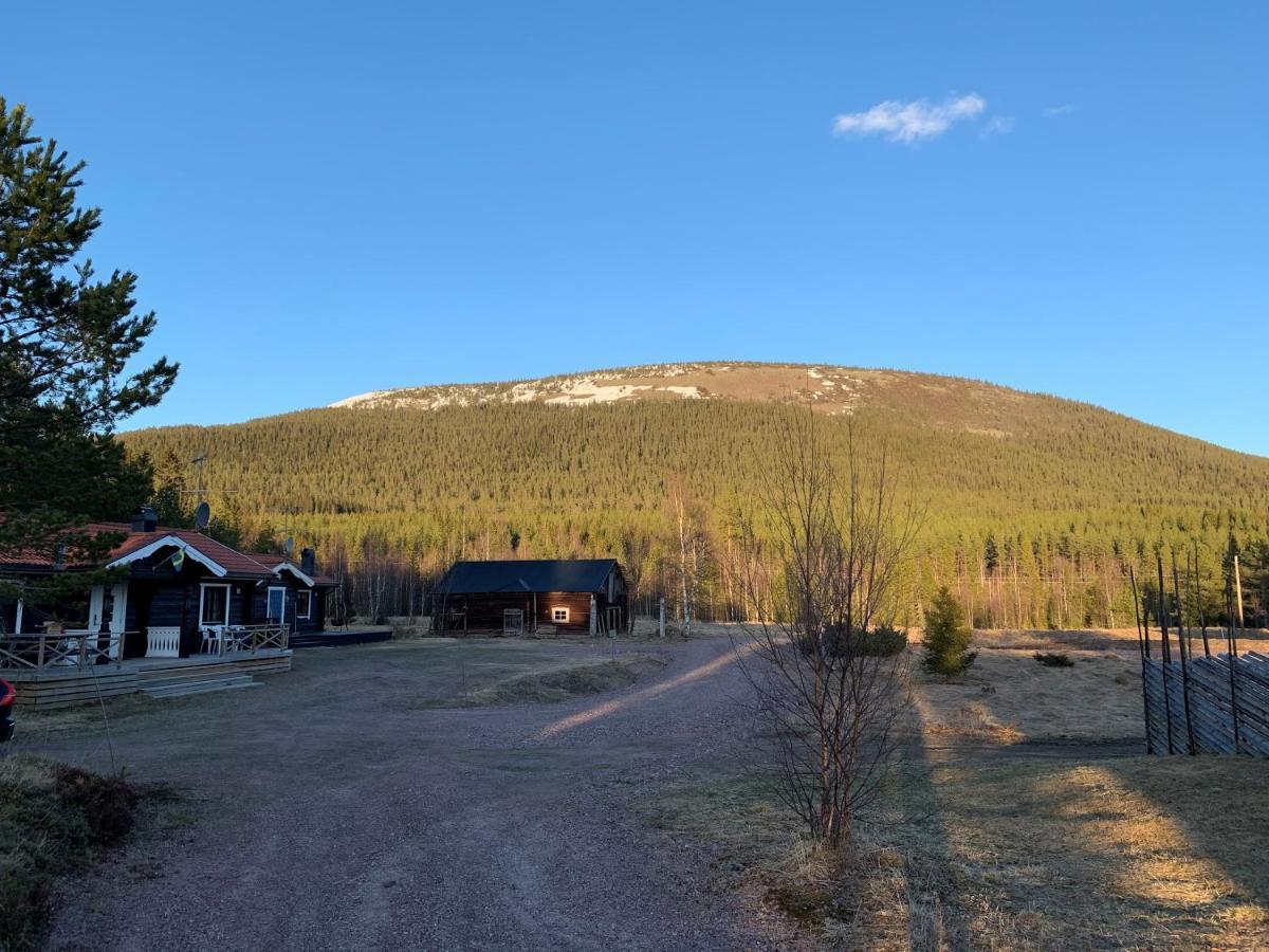 Nymon Mountain Lodge Stöten Exteriér fotografie