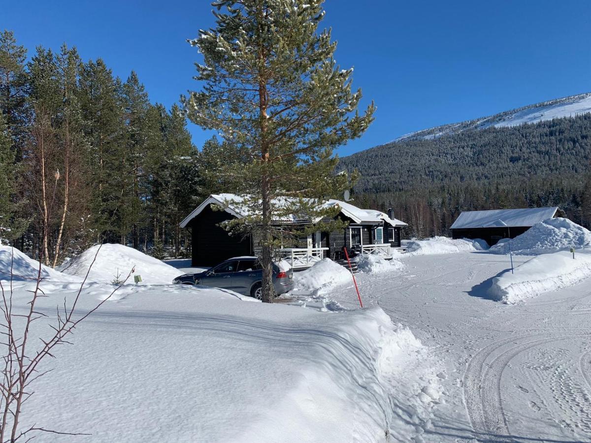 Nymon Mountain Lodge Stöten Exteriér fotografie