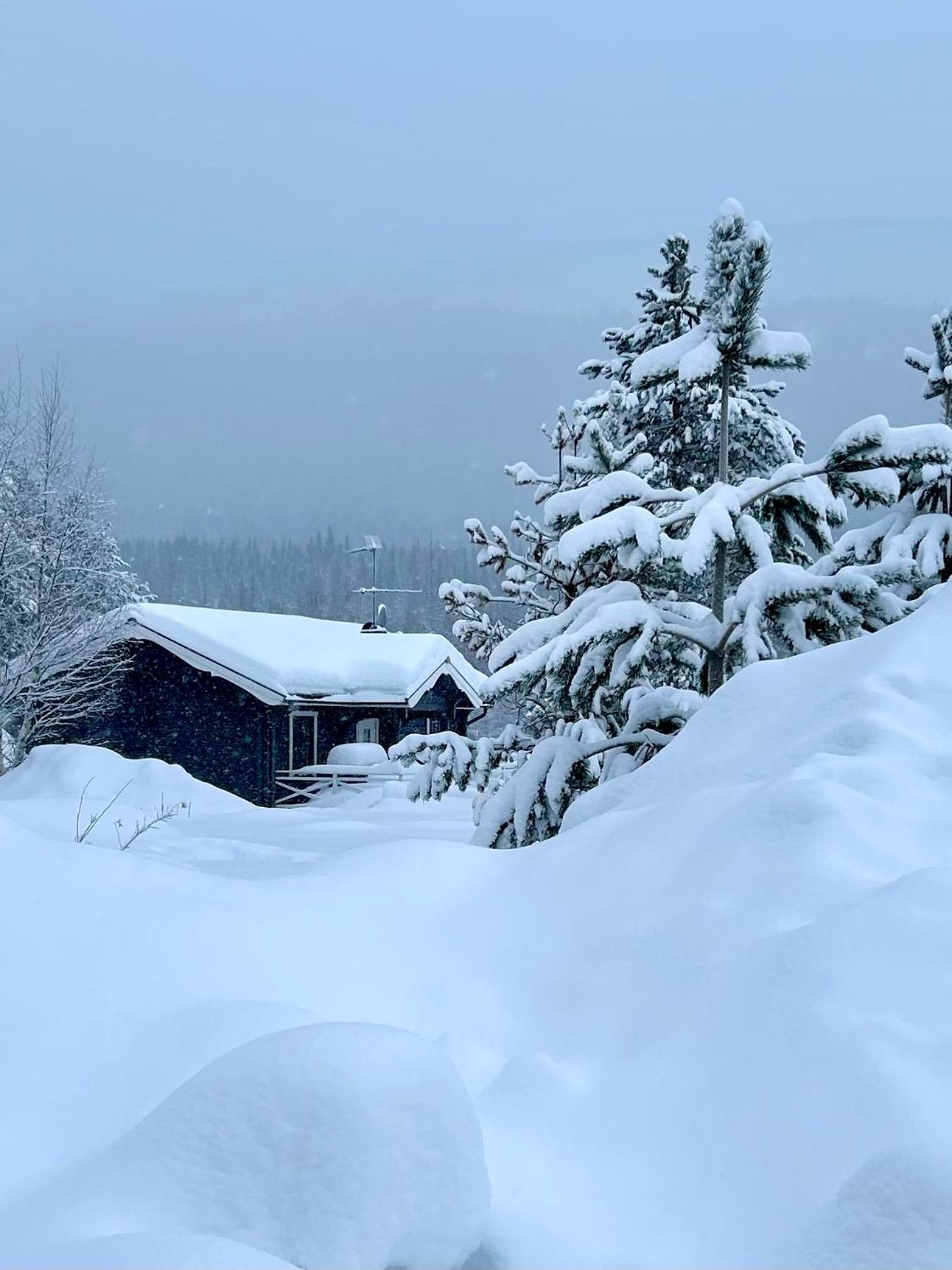 Nymon Mountain Lodge Stöten Exteriér fotografie