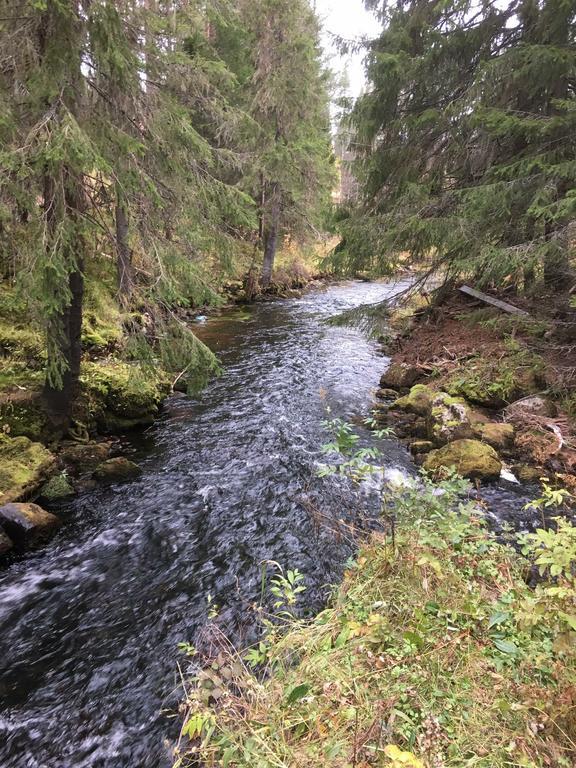 Nymon Mountain Lodge Stöten Exteriér fotografie